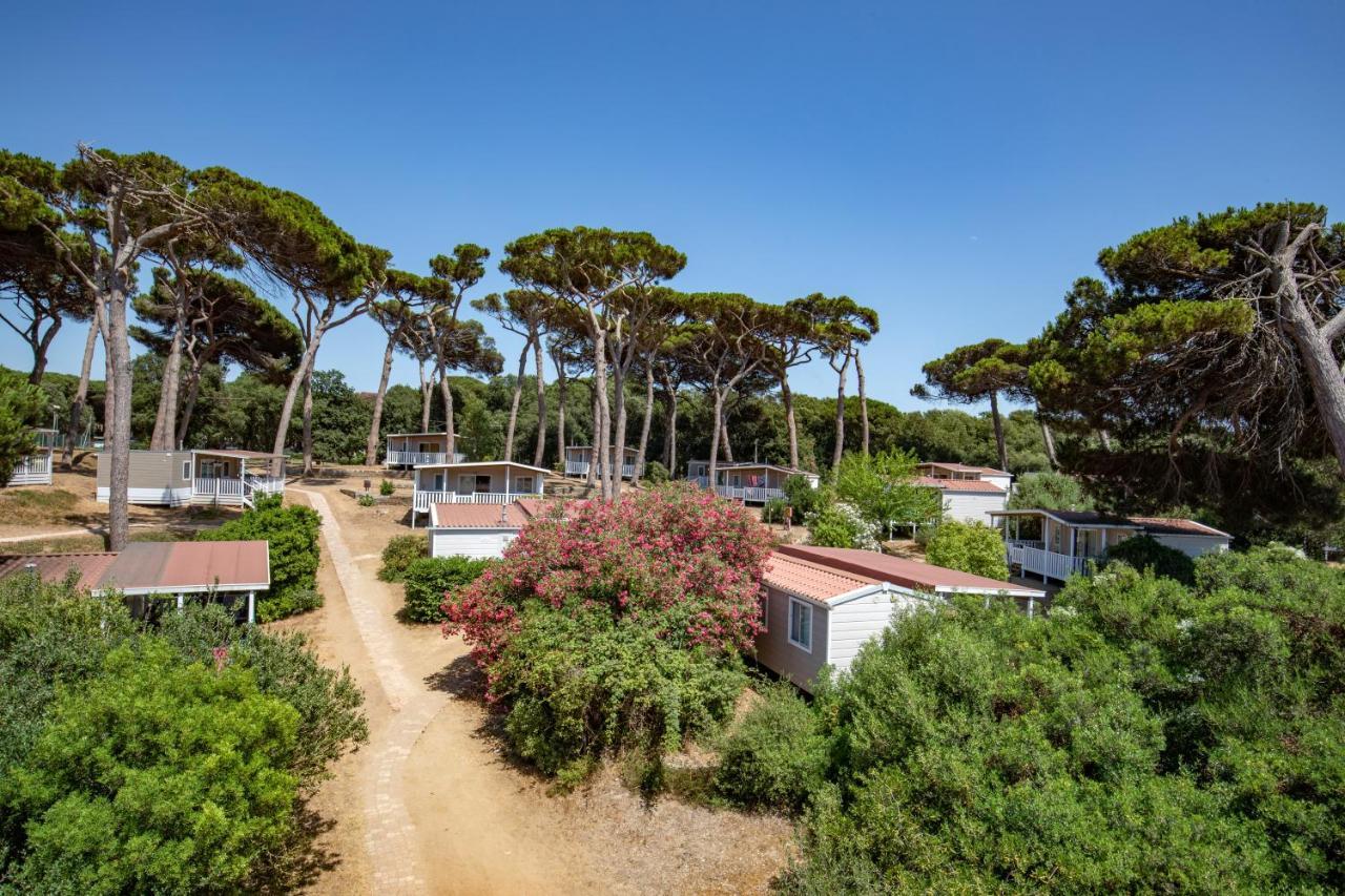 Parco Della Gallinara Lido dei Pini Eksteriør bilde