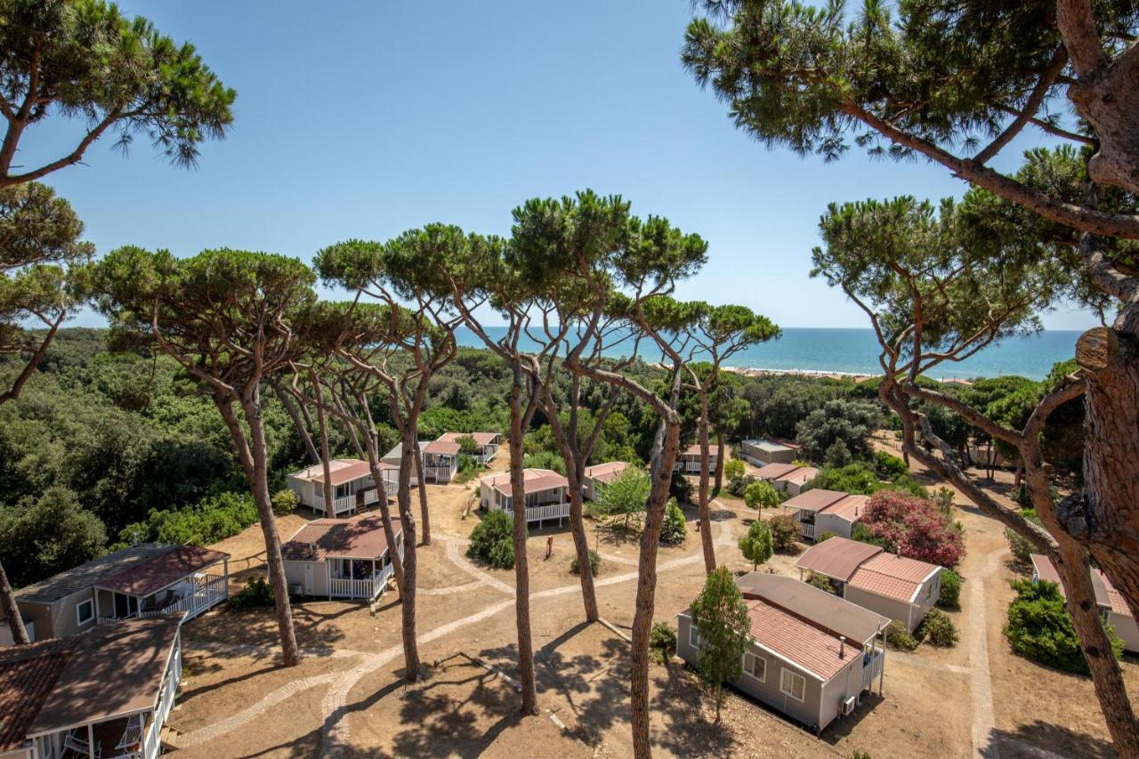 Parco Della Gallinara Lido dei Pini Eksteriør bilde